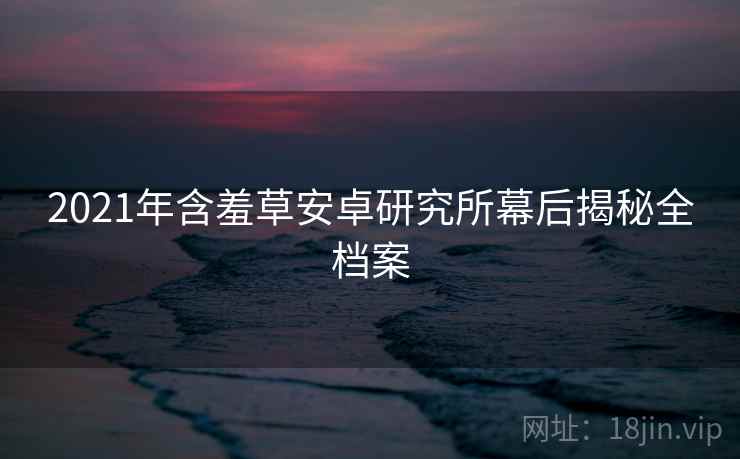 2021年含羞草安卓研究所幕后揭秘全档案