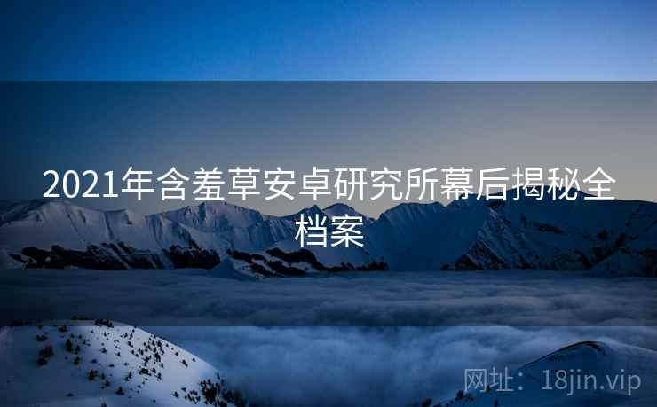 2021年含羞草安卓研究所幕后揭秘全档案