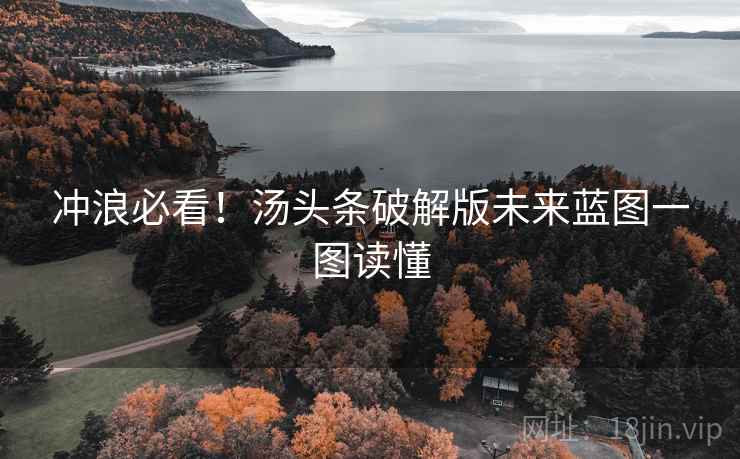 冲浪必看！汤头条破解版未来蓝图一图读懂