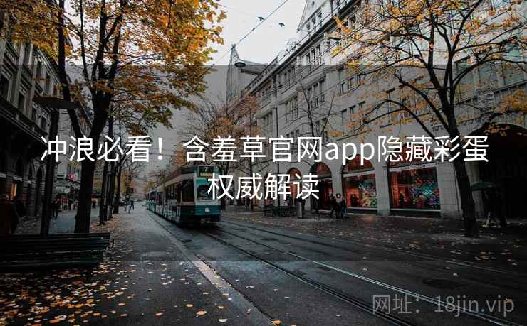 冲浪必看！含羞草官网app隐藏彩蛋权威解读