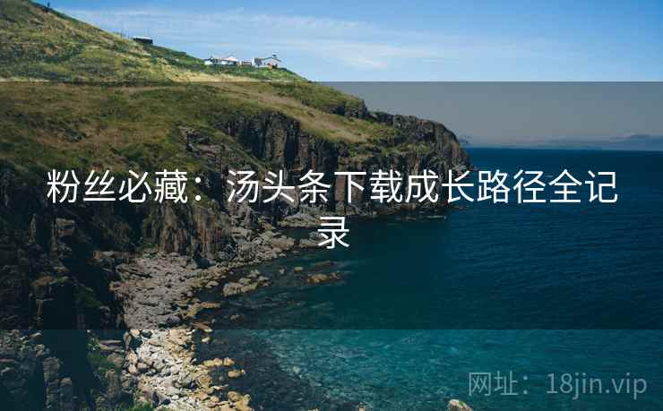 粉丝必藏：汤头条下载成长路径全记录
