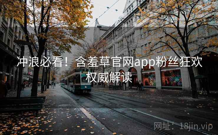 冲浪必看！含羞草官网app粉丝狂欢权威解读