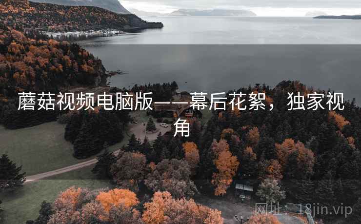 蘑菇视频电脑版——幕后花絮，独家视角